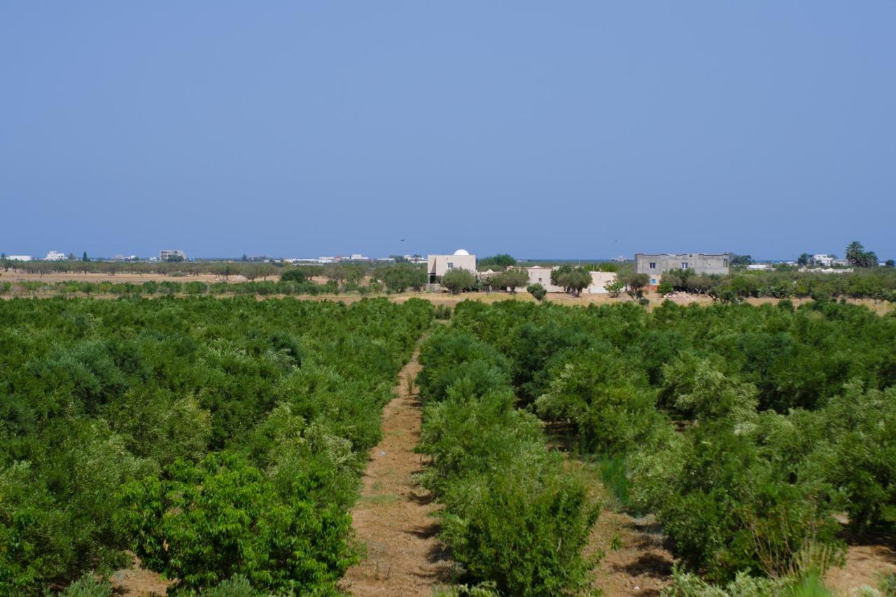 Villa Olivia, Yasmine Hammamet, Bouficha Exterior photo
