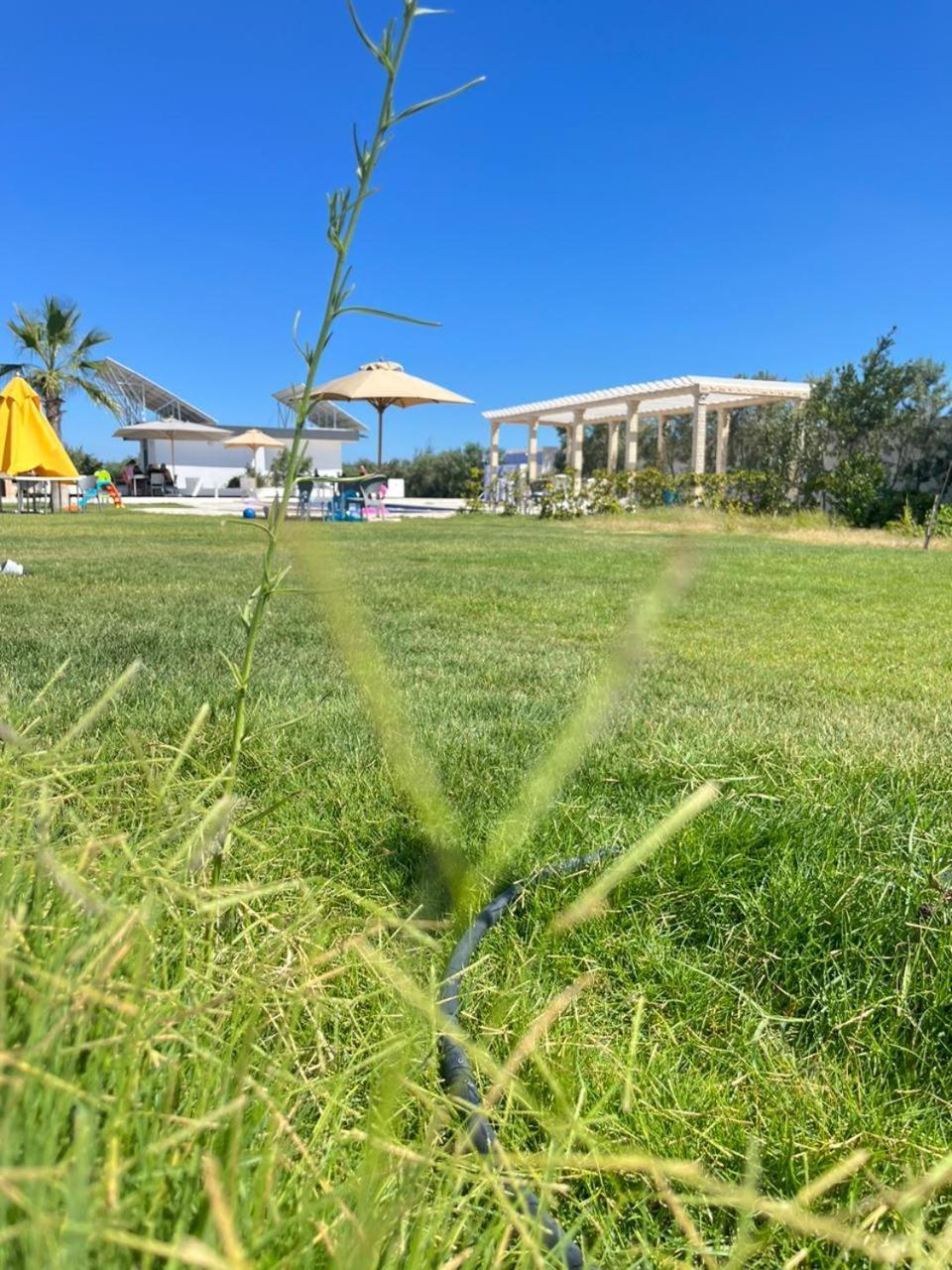 Villa Olivia, Yasmine Hammamet, Bouficha Exterior photo