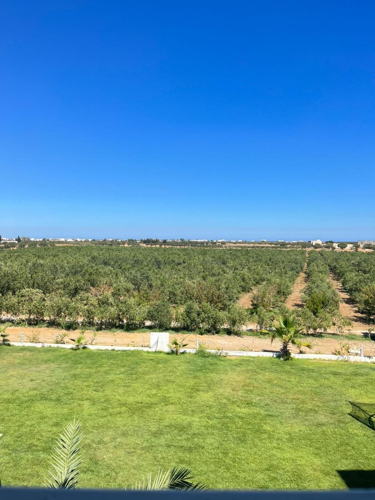 Villa Olivia, Yasmine Hammamet, Bouficha Exterior photo