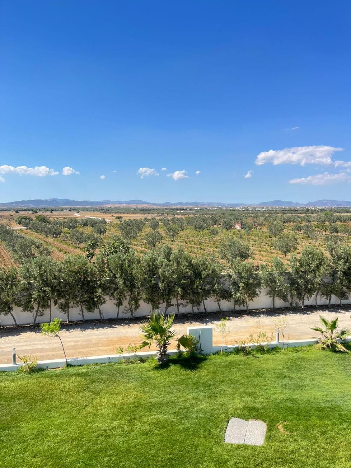 Villa Olivia, Yasmine Hammamet, Bouficha Exterior photo